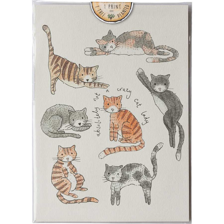 Crazy Cats - Print #AP-134 – hand-designed art print by Little Difference